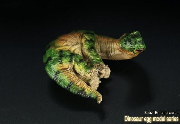 Brachiosaurus Hatchling Sculpture | DinoLoveStore