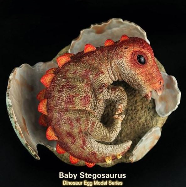 Stegosaurus Hatchling Sculpture | DinoLoveStore