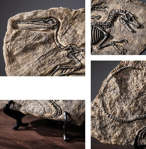 Dinosaur Fossil Skeleton Decor | DinoLoveStore