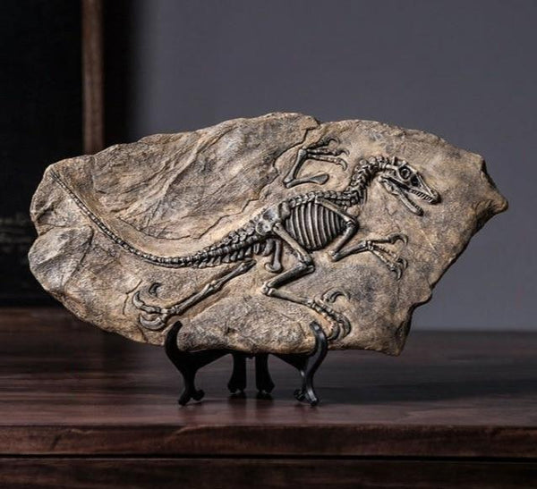 Dinosaur Fossil Skeleton Decor | DinoLoveStore