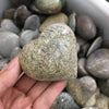 Dinosaur Heart Shaped Fossil | DinoLoveStore