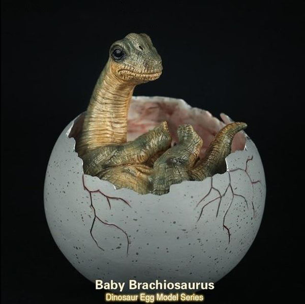 Brachiosaurus Hatchling Sculpture | DinoLoveStore