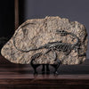 Dinosaur Fossil Skeleton Decor | DinoLoveStore