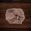 Dinosaur Fossil Skeleton Decor | DinoLoveStore