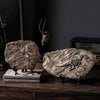 Dinosaur Fossil Skeleton Decor | DinoLoveStore