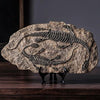 Dinosaur Fossil Skeleton Decor | DinoLoveStore