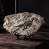 Dinosaur Fossil Skeleton Decor | DinoLoveStore