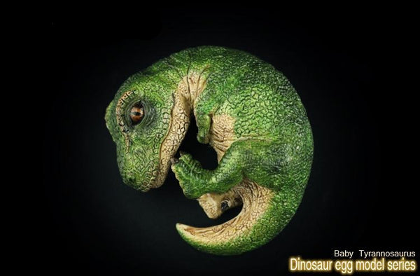 T-Rex Hatchling Sculpture | DinoLoveStore