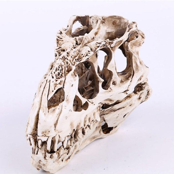 T-Rex Skull | DinoLoveStore